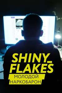 Shiny_Flakes: The Teenage Drug Lord - Poster