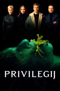 The Privilege - Poster