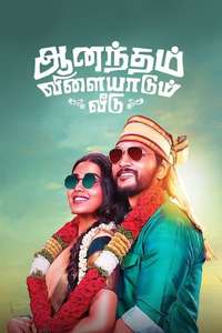 Anandham Vilayadum Veedu - Poster