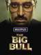 The Big Bull