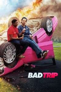 Bad Trip - Poster