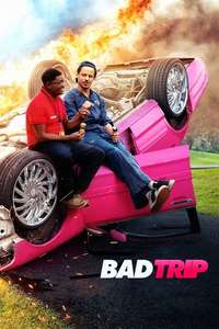 Bad Trip - Poster