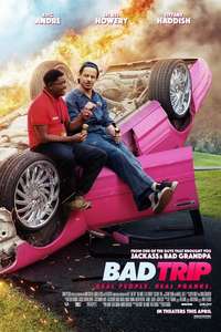 Bad Trip - Poster