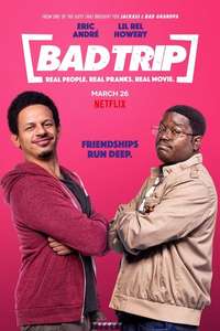 Bad Trip - Poster