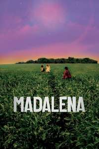 Madalena - Poster