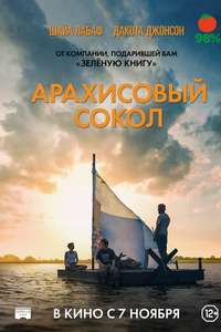 The Peanut Butter Falcon - Poster