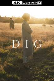 The Dig