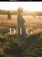 The Dig