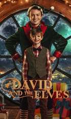 David and the Elves