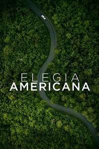 Hillbilly Elegy - Poster