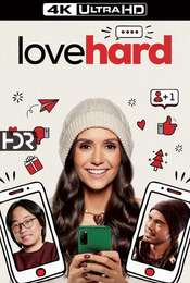 Love Hard