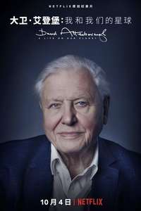 David Attenborough: A Life on Our Planet - Poster