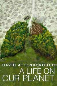 David Attenborough: A Life on Our Planet - Poster
