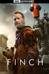 Finch