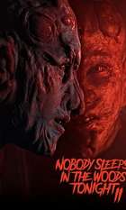 Nobody Sleeps in the Woods Tonight 2
