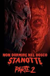 Nobody Sleeps in the Woods Tonight 2 - Posters