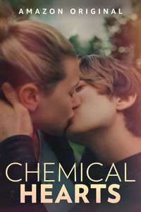 Chemical Hearts - Poster