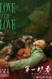 Love After Love - Poster