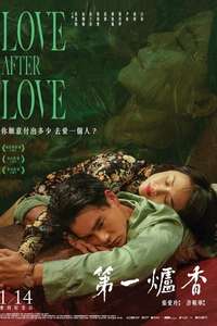 Love After Love - Poster