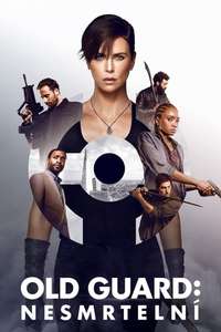 The Old Guard - Poster