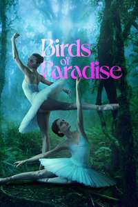 Birds of Paradise - Poster