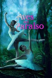 Birds of Paradise - Poster