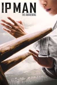 Ip Man: The Awakening - Poster