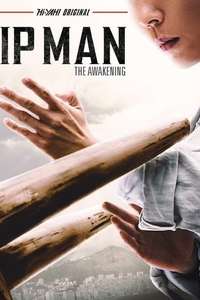 Ip Man: The Awakening - Poster
