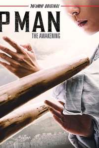 Ip Man: The Awakening - Poster