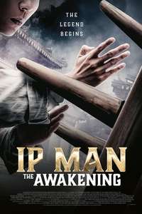 Ip Man: The Awakening - Poster