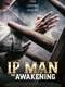 Ip Man: The Awakening