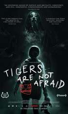 Tigers Are Not Afraid