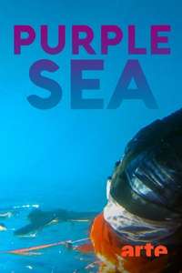Purple Sea - Posters