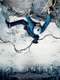 The Alpinist