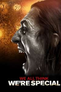 Companion - Posters