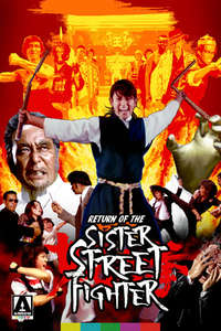The Return of Sister Street Fighter - Poster