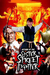 The Return of Sister Street Fighter - Poster