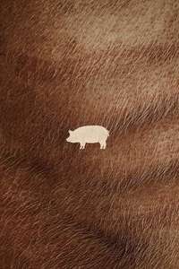 Pig - Poster