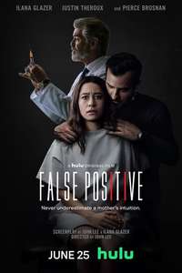 False Positive - Poster