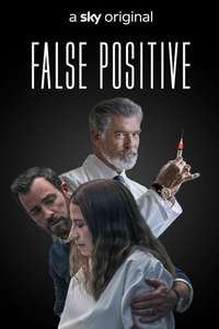 False Positive - Poster