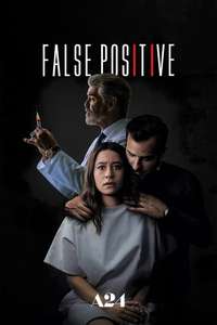 False Positive - Poster