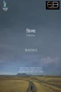 Radius - Poster