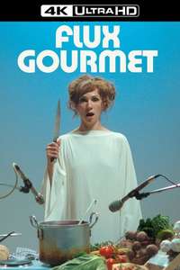 Flux Gourmet - Poster