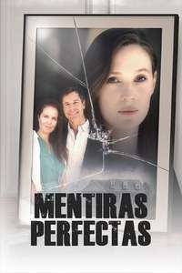 Picture Perfect Lies - Posters