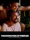 The Extinction of Fireflies