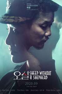 Sheep Without a Shepherd - Poster