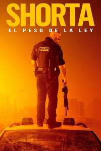 Enforcement - Poster