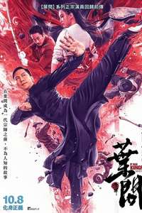Ip Man: Kung Fu Master - Poster