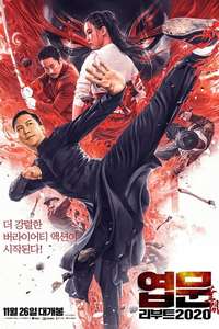 Ip Man: Kung Fu Master - Poster