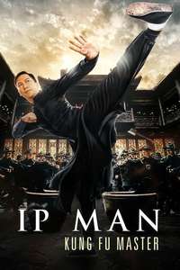 Ip Man: Kung Fu Master - Poster